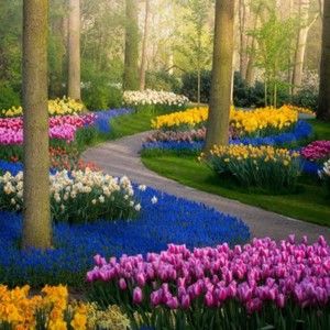 Meet your Posher, Chloe